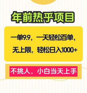 一单9.9，一天百单无上限，不挑人，小白当天上手，轻松日入1000+-江南创业网