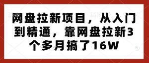 网盘拉新项目，从入门到精通，靠网盘拉新3个多月搞了16W-江南创业网