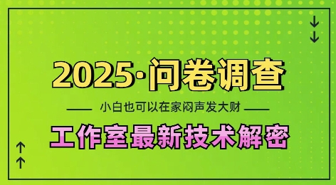 2025问卷调查最新工作室技术解密：一个人在家也可以闷声发大财，小白一天2张，可矩阵放大【揭秘】-江南创业网