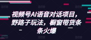 视频号AI语音对话项目，野路子玩法，橱窗带货条条火爆-江南创业网