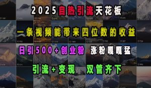 2025自热引流天花板，一条视频能带来四位数的收益，引流+变现双管齐下，日引500+创业粉，涨粉嘎嘎猛-江南创业网
