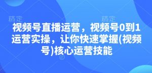 视频号直播运营，视频号0到1运营实操，让你快速掌握(视频号)核心运营技能-江南创业网