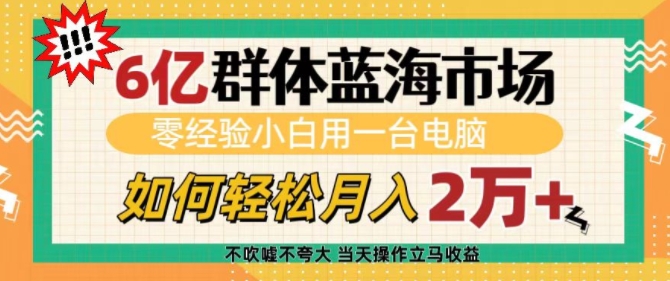 6亿群体蓝海市场，零经验小白用一台电脑，如何轻松月入过w【揭秘】-江南创业网