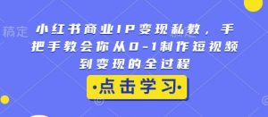 小红书商业IP变现私教，手把手教会你从0-1制作短视频到变现的全过程-江南创业网