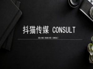 抖猫学院小红书聚光详细操作流程实操-江南创业网