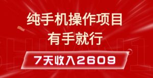 纯手机操作的小项目，有手就能做，7天收入2609+实操教程【揭秘】-江南创业网