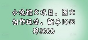 小说推文项目，图文创作玩法，新手10天挣3000-江南创业网