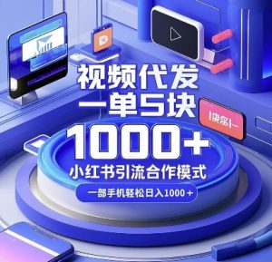 视频代发，一单5块，小红书引流合作模式，一部手机轻松日入多张【揭秘】-江南创业网