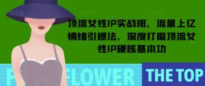 顶流女性IP实战班，流量上亿情绪引爆法，深度打磨顶流女性IP硬核基本功-江南创业网