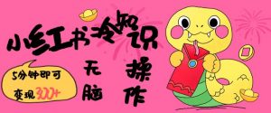 小红书冷知识账号，无脑复制粘贴，5分钟即可变现3张-江南创业网