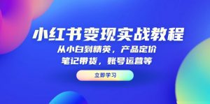 小红书变现实战教程：从小白到精英，产品定价，笔记带货，账号运营等-江南创业网