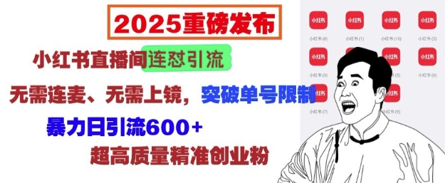 2025重磅发布：小红书直播间连怼引流，无需连麦、无需上镜，突破单号限制，暴力日引流600+-江南创业网