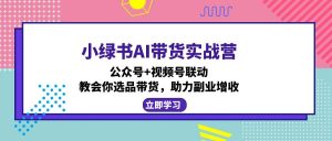 小绿书AI带货实战营：公众号+视频号联动，教会你选品带货，助力副业增收-江南创业网