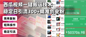 西瓜视频一键搬运技术，稳定日引流300+精准创业粉，简单可复制给团队，...-江南创业网