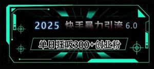 2025年快手6.0保姆级教程震撼来袭，单日狂吸300+精准创业粉-江南创业网