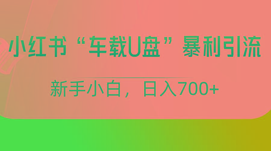 小红书“车载U盘”项目，暴利引流，新手小白轻松日入700+-江南创业网