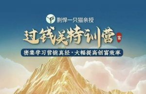 剽悍一只猫-过钱关特训营，学习营销真经 大幅度提高创富效率-江南创业网