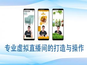 个人虚拟直播间的搭建与操作，专业虚拟直播间的打造与操作-江南创业网