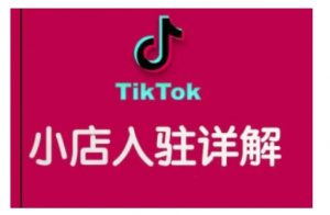 TikTok跨境小店运营全攻略，帮助你独立运营TK跨境小店的能力，实现销量增长-江南创业网