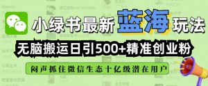 小绿书无脑搬运引流，全自动日引500精准创业粉，微信生态内又一个闷声发财的机会-江南创业网