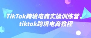 TikTok跨境电商实操训练营，tiktok跨境电商教程-江南创业网