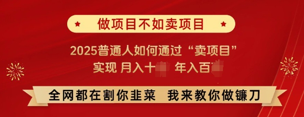 必看，做项目不如卖项目，2025普通人如何通过“卖项目”实现月入十个，年入百个-江南创业网