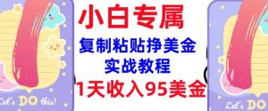复制粘贴挣美金，0门槛，1天收入95美刀，3分钟学会，内部教程(首次公开)-江南创业网