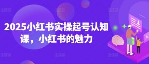 2025小红书实操起号认知课，小红书的魅力-江南创业网