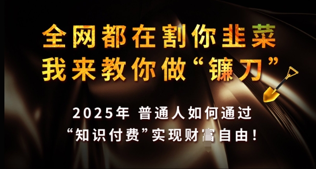 全网都在割你韭菜，我来教你做镰刀，2025年普通人如何通过 知识付费 实现财F自由【揭秘】-江南创业网