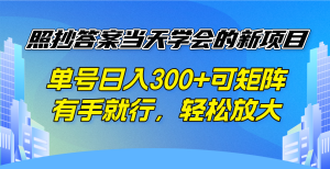 照抄答案当天学会的新项目，单号日入300 +可矩阵，有手就行，轻松放大-江南创业网