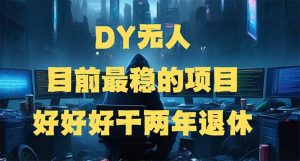 DY无人，目前最稳的项目，矩阵放大边旅游边赚钱，好好好干两年退休-江南创业网