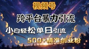 跨平台暴力引流，私域完美闭环，日引500+精准创业粉-江南创业网