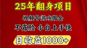 一天收益1000+ 25年开年落地好项目-江南创业网