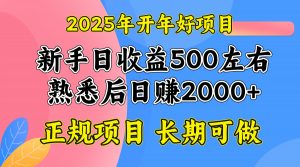 2025开年好项目，单号日收益2000左右-江南创业网