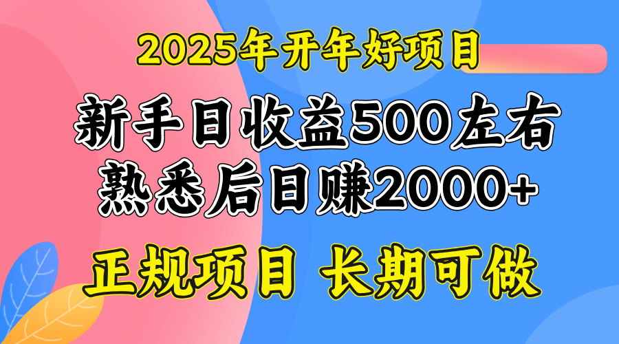 2025开年好项目，单号日收益2000左右-江南创业网