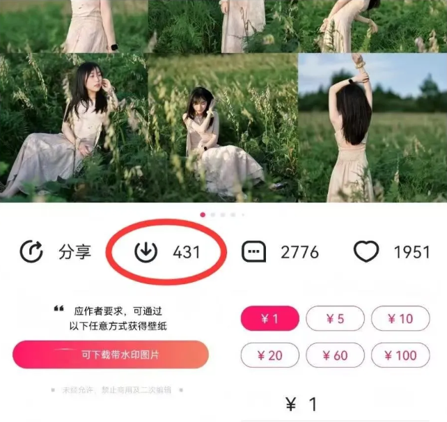 最新图虫搬运项目，收益无上限，利用AI小白也可日赚500+-江南创业网