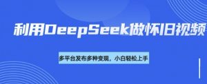 利用DeepSeek做怀旧视频，流量号多渠道变现能力强-江南创业网
