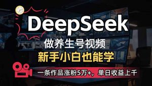 小白用DeepSeek做养生号，一条作品涨粉5万+，单日收益上千-江南创业网