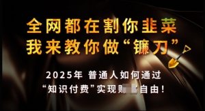 知识付费如何做到月入过W+，2025我来教你做“镰刀”【揭秘】-江南创业网