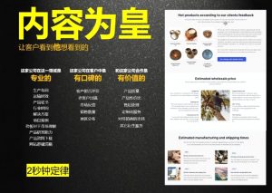 刘老师·外贸询盘增长秘籍从0到1的实战指南-江南创业网