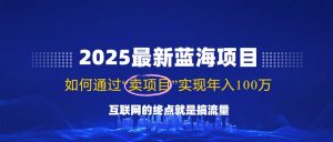 2025最新蓝海项目，零门槛轻松复制，月入10万+，新手也能操作！-江南创业网