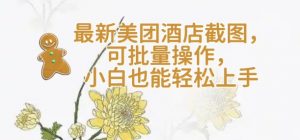 【轻云】最新美团酒店截图，可批量操作，小白也能轻松上手-江南创业网
