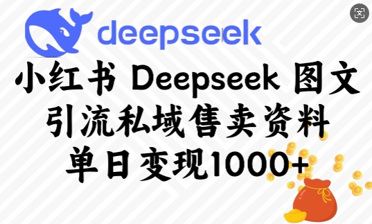 小红书Deepseek图文引流私域售卖资料，单日变现多张-江南创业网