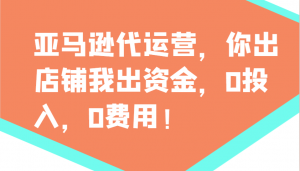 亚马逊代运营，你出店铺我出资金，0投入，0费用，无责任每天300分红，赢亏我承担-江南创业网