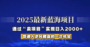 2025年蓝海项目，如何通过“网创项目”日入2000+-江南创业网
