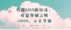 书旗2025新玩法，收益突破上限10000，小白可做-江南创业网