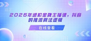 2025年进阶金牌主播课，抖音的推流算法逻辑-江南创业网