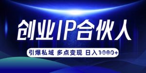 云帆·创业ip合伙人打造3.0，从0到1教你做网创，实现月入过W-江南创业网