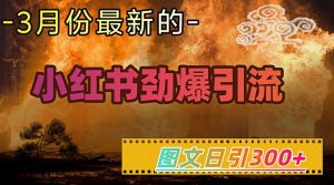 小红书超劲爆引流手段，图文日引300+轻松变现1W-江南创业网