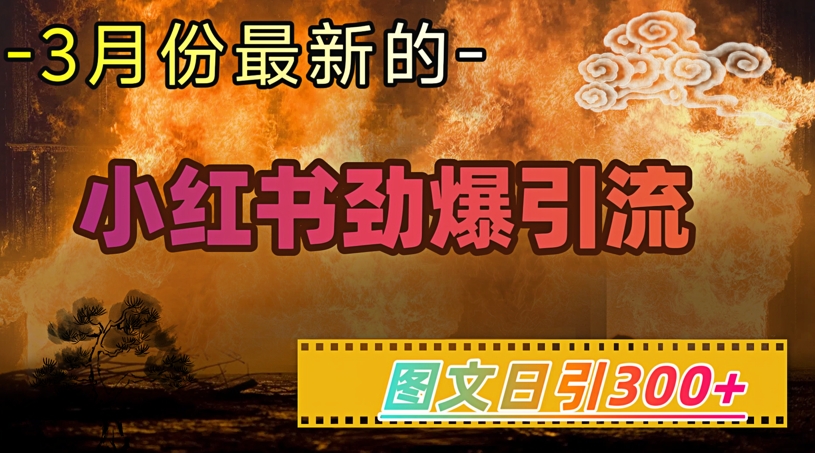小红书超劲爆引流手段，图文日引300+轻松变现1W-江南创业网